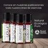 VIDA SCENTS OLEOS Aceite Esencial de Canela 10 ML 100%