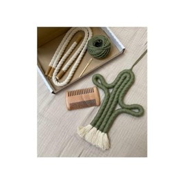 Enia Store Macrame Cactus Wall Hanging Crafts Kit (Olive)
