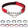 LOS ANDES Dog Choke Collar Martingale Collar with Limited Chain