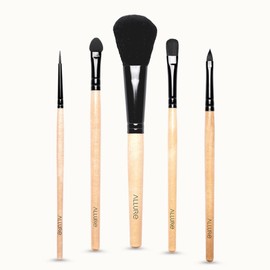 Allure Kit of 5 Makeup Brush, 25 g