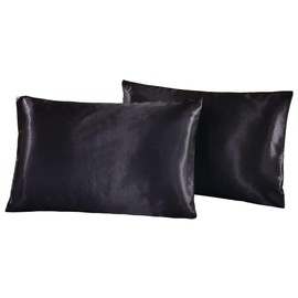 Silk Pillow case for Hair and Skin Queen - Pillow cases 2 Pack 20x30 inches - Pair of Silk Pillow Covers Pillow Cases Set of 2 (Black)