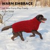 Queenmore Dog Jumper for Small Dogs, Warm & Comfortable, Stretch