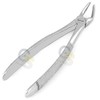 G.S English EXTRACTING Forceps Lower PREMOLARS 8, English Pattern Extraction