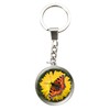 Deluxe Base 48798 Magnidome Keychains, Butterfly Keyrings, Colourful