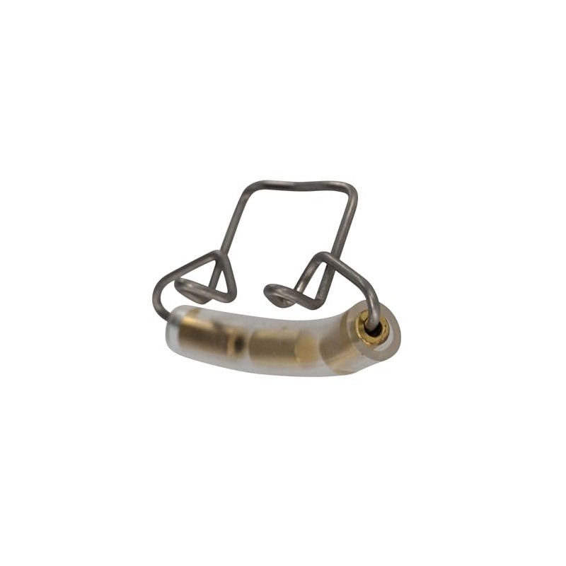 Gewa Violine Roth-Sihon · Mute