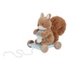 Little Dutch Forest Friends 8920 Pull Along Squirrel