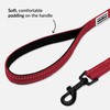 CollarDirect Nylon Dog Leash 5ft for Daily Outdoor Walking Running