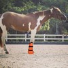 yeezo Horse Soaking Boot Hoof Soaker Bag Horse Wrapped Treatment