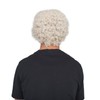 Costume Agent Uncle Drew Adult Hallloween Costume Accessory Wig Beard