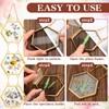 Marsui 3 Set Double Glass Frame Collage For Pressed Flowers