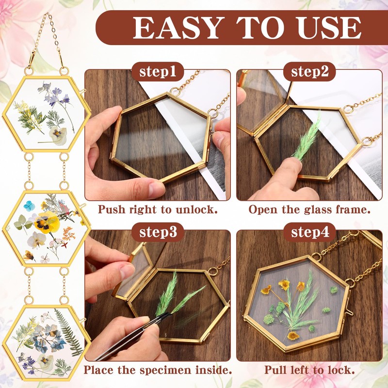 Marsui 3 Set Double Glass Frame Collage For Pressed Flowers