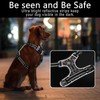 HEELE Dog Harness, No Pull Dog Harness Small, Release on