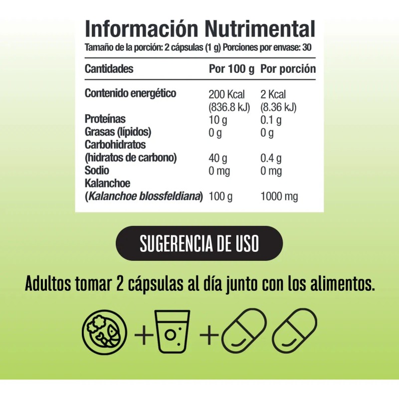 Castao De Indias Kalanchoe 60 Cps Bienestar De Piernas Sin