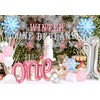 JeVenis Winter Onederland 1st Birthday Decoraitons Snowflake First Birthday Party