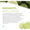 Pack Tónico Bergamota Sheló Nabel Crecimiento Cabello Barba Piezas