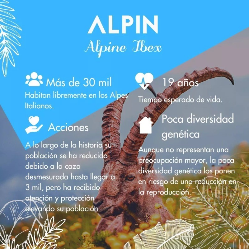 Vidamía Jabón Artesanal Gde Leche Almendras Exfoliante Vegano