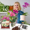 Orchid Bark Potting Mix,Premium Orchid Potting Mixture of Pine Bark