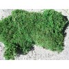 Living Moss - Fresh Sheet Moss Perfect for Terrariums and