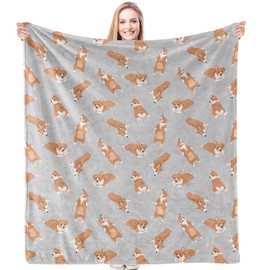HIWX Corgi Blanket, Corgi Gifts, Corgi Gifts for Women, Corgi Gifts for Corgi Lovers, Corgi Lovers Gifts, Corgi Throw Blanket, Dog Throw Blankets, Dog Themed Blanket, 50x60 Inches