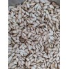 Unbranded 50 SEMILLAS DE PIPIAN CRIOLLO SALVADOREÑO