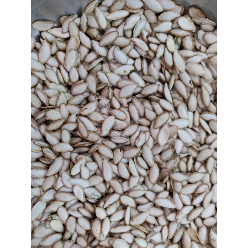 Unbranded 50 SEMILLAS DE PIPIAN CRIOLLO SALVADOREÑO