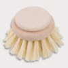 HOFMEISTER Holzwaren Replacement Head for Real Fibre Dish Brush – Big Head