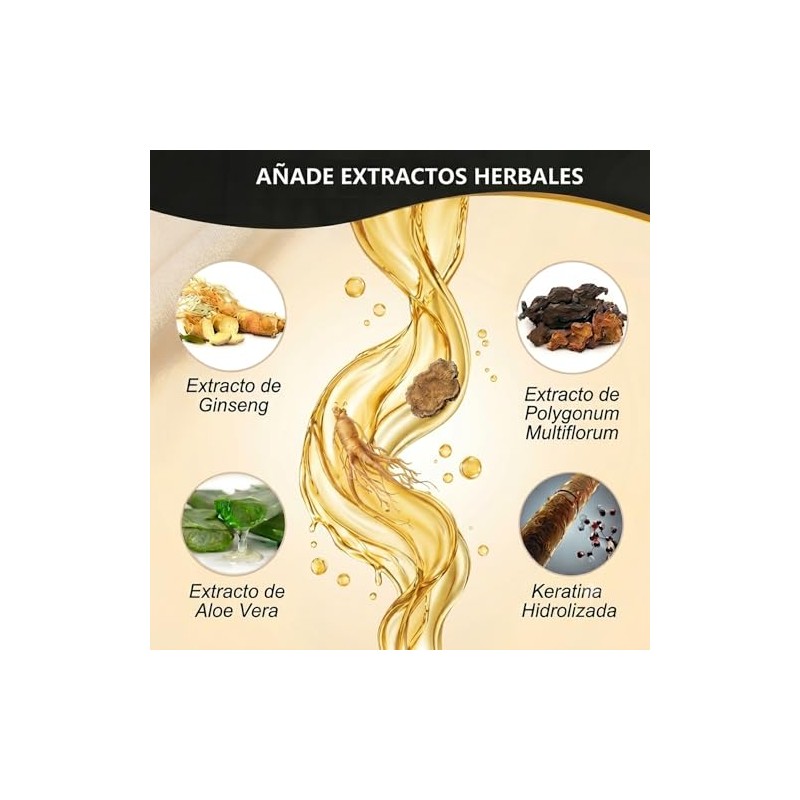 Champú para Teñir el Cabello Negro 3 en 1 Black