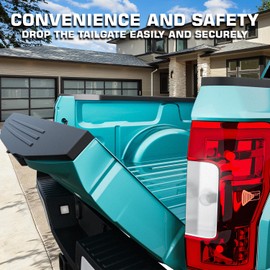 InnoCaptain Truck Tailgate Assist for Ford F-250 F-350 Super Duty 1999-2016 Truck Accessories Tailgate Damping Strut, Pack of 1