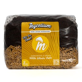 Mycelium's Superior Dung-Loving Mushroom Substrate & Whole Oats Mix - 3LB All-in-One Premium Coir, Vermiculite & Gypsum Formula, Pre-Sterilized & Ready for Easy Home Cultivation