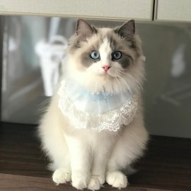 Pet Costume Cat Lace Bandana, Cat Tutu Collar for Small Dog Bunny Wedding Birthday Party Decoration, Blue S 7.5"-10"