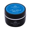 SHINYGEL Professional Shiny Gel, Blue (Color Gel for Art), 0.1