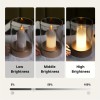 Magic Crystal Motion Sensor LED Candle Lamp - Hand Control
