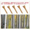 Adhere 60pcs Golf Tees Short Tees Birch Wood Tees Short