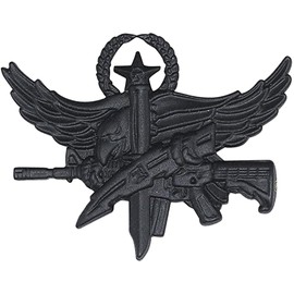 Hero's Pride SWAT Operator Insignia, Center Mass Qualification Pin, Clutch Back, 1-1/2 x 1", Black Matte, Basic Rank