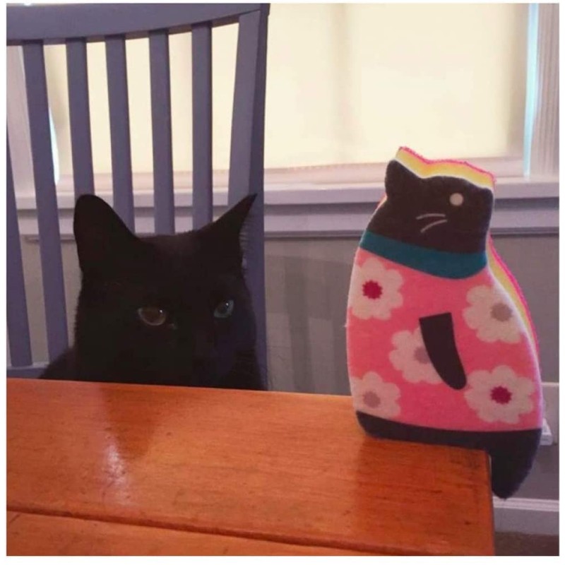 Sink Cat Dish Sponge Scrubber for Washing Dishes Dishwashing Cloth