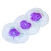 SOTO ST-2101 Mantle ST-2101 (Pack of 3)