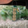 Suet Ball Bird Feeder Outdoor Hanging Metal Wire Wild Bird