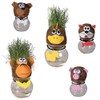 Out of the blue Grass Head on Vase with Funny