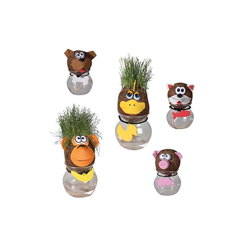 Out of the blue Grass Head on Vase with Funny