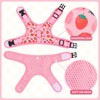 Cat Harness with Escape Proof - Fashionable Mesh Cat Dog