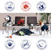 MPS Medical Pet Shirt Cat, Surgery Recovery Suit, Orange, XX-Small