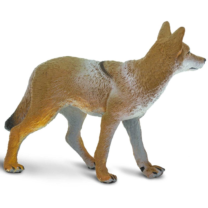 Safari Ltd. Coyote Figurine - Lifelike 3.75" Model Figure -