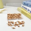 100PCS Wooden Push Pins – Decorative Thumb Tacks for Cork