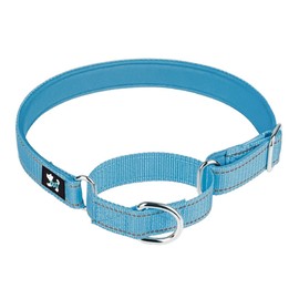 Serijoars Martingale Heavy Duty Nylon Dog Collar, Soft Neoprene Padded Breathable Nylon Pet Collar for Small Medium Large Dogs (M, Blue)