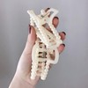 Large Pearl Hair Claw Clip, Pearl Hair Claw Clips Neutral