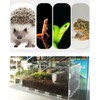 CiCixixi Transparent Acrylic Terrarium, 360° View, for Reptiles and Insects,