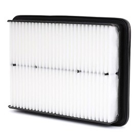 RIDEX 8A0491 Engine Air Filter Recirculation Filter