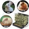 Rabbit Hay Feeder Guinea Pig Hay Holder with Hook Heavy-Duty
