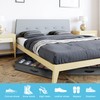 2 Pack Under Bed Shoe Storage Organizer for Closet, Fits