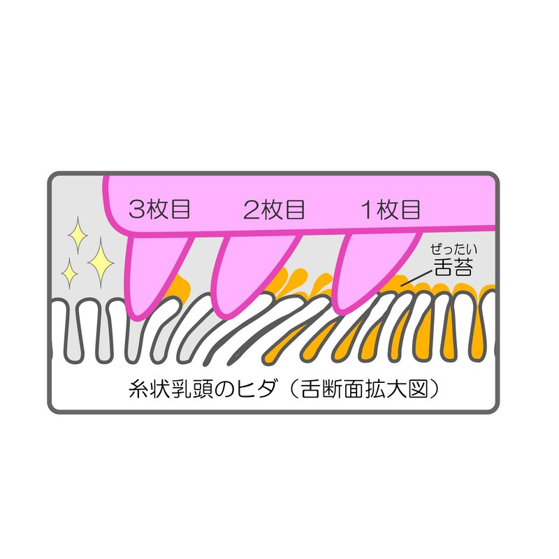 Nonoji Soft Tongue Cleaner "Tongue! Includes Exclusive Case, Pink
